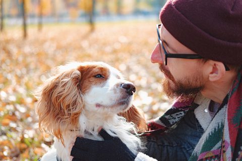 The Benefit of Therapy Dogs